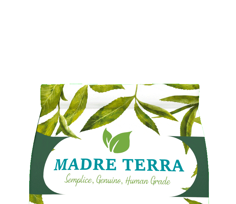 Animazione sacco (1)