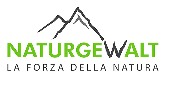 Logo naturgewalt verde (2)